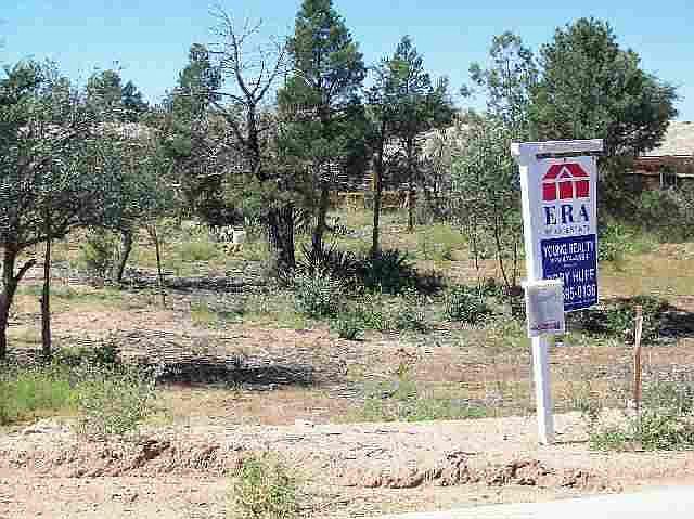 2nd image of 302 S GOLDEN BEAR POINT -- #14