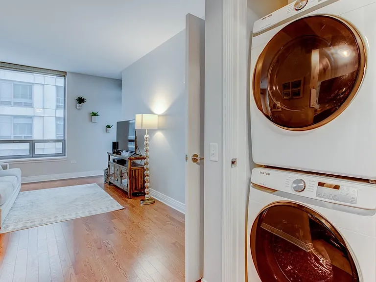 600 N Lake Shore Dr #3210 — Photo 18