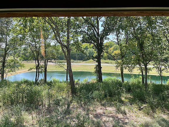 Fish pond on property 