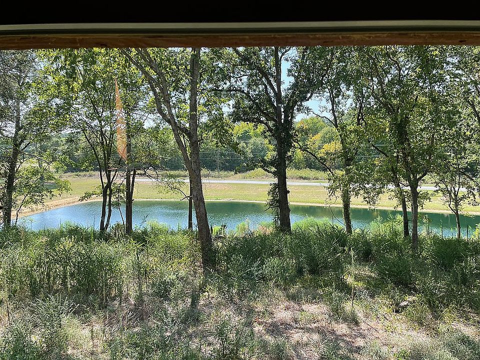 Fish pond on property 