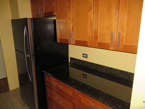 5th image of 1355 N Sandburg Ter APT 804