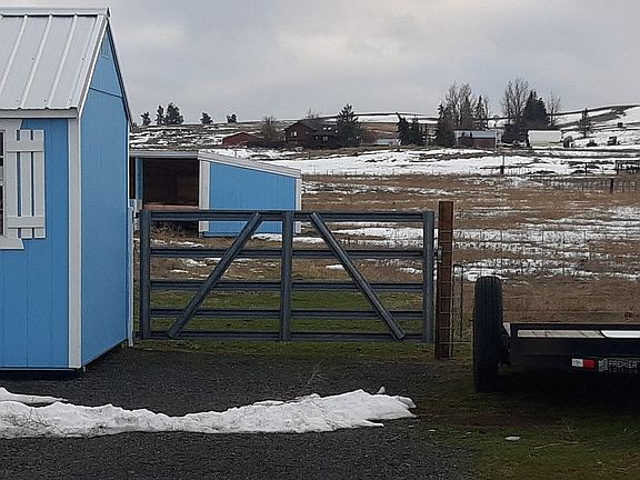 Pasture shelter new fence