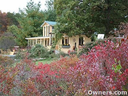 View of blueberries and side of house