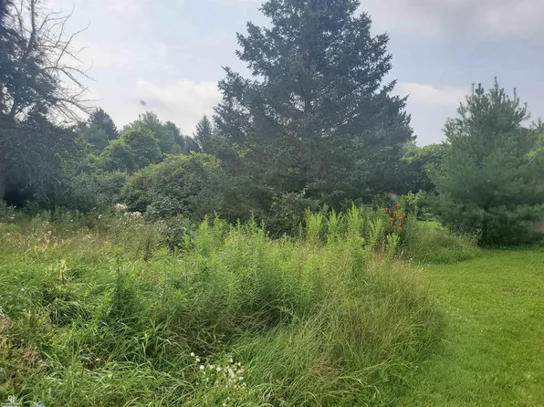 Comstock Rd, Avoca, MI 48006