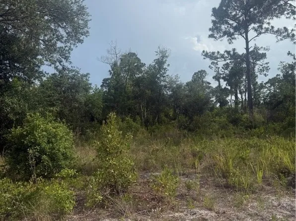 234 Meadowlark Ave, Sebring, FL 33870