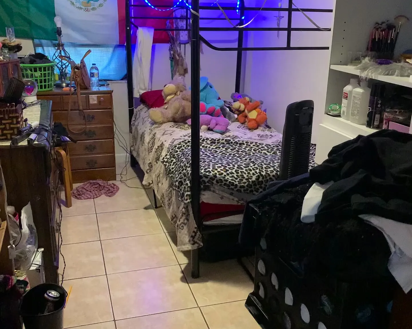 2 bed, 710 sqft, $1,280 — Photo 3