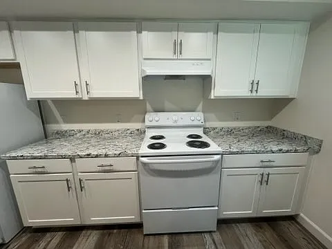 Phoenix Park Apartments — Photo 3
