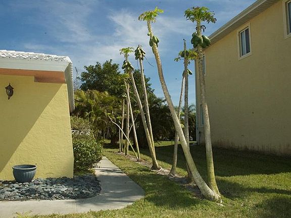 5th image of 516 S Shore Dr