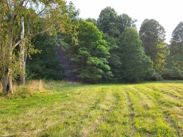 0 Long Run Rd, Napier, WV 26631