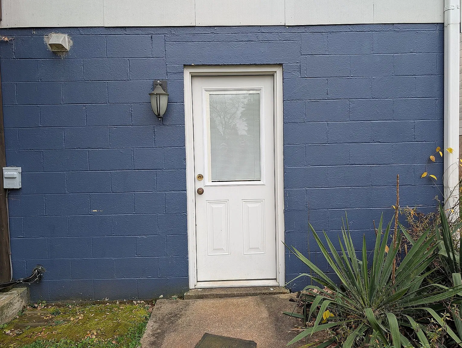 1 bed, 779 sqft, $1,500 — Photo 1