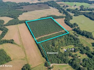 Sartain Rd, Dennis, MS 38838