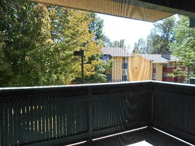 Kingway Apartments — Photo 11
