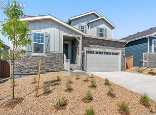 1787 Water Birch Way, Castle Rock, CO 80108