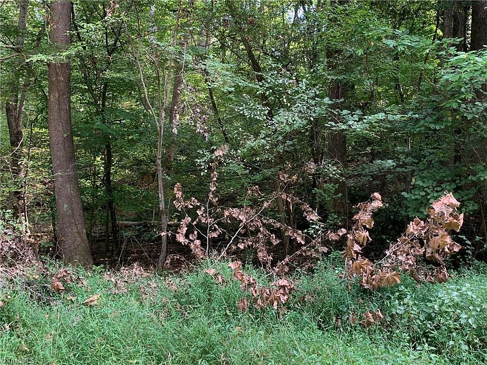 2nd image of 0 Meadow Ln