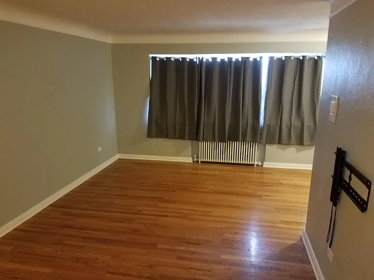 733 E 2nd Ave #206 — Photo 5