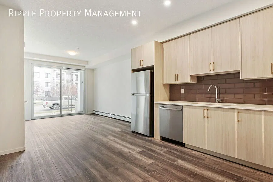 Modern 2 Beds, 2 Baths Apartment/Condo | 2 Pets Allowed. 20lbs Max — Photo 3