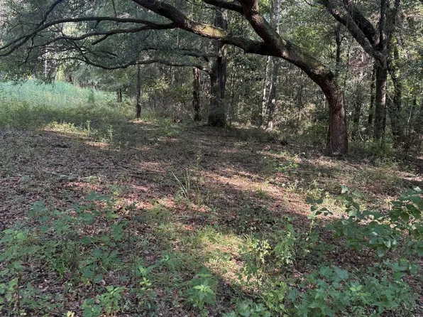 0 Jacob Rd, Cottondale, FL 32431