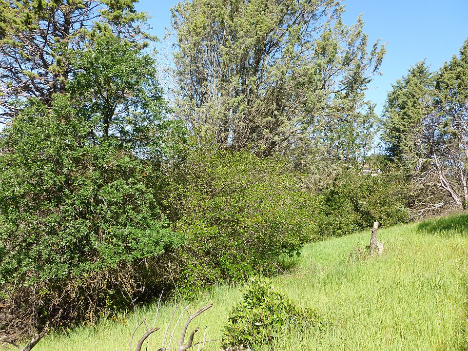 2nd image of Topaz Ln #2