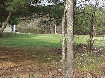 2nd image of 8167 Moreland Gap Rd