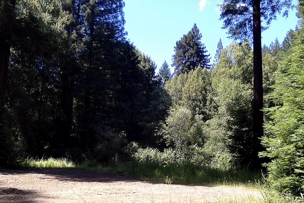 9500 Bohemian Hwy - Photo 2