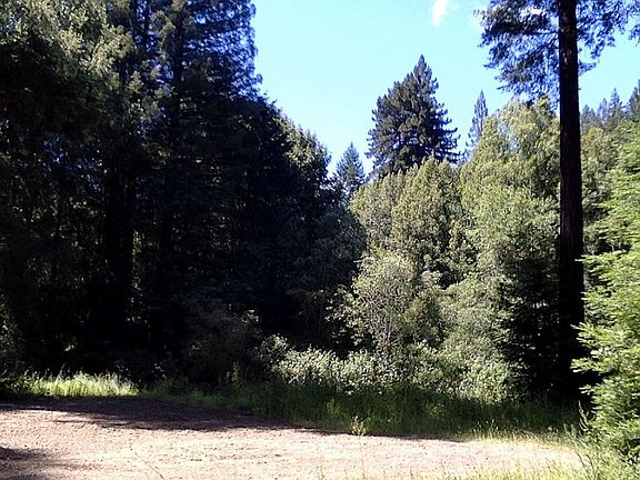 2nd image of 9500 Bohemian Hwy
