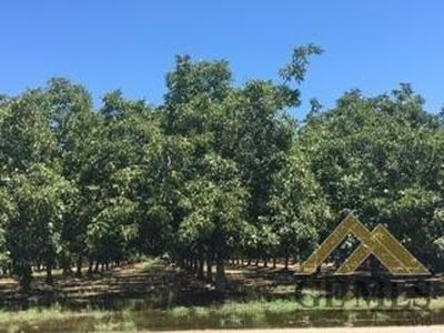 0 Road 192, Porterville, CA, 93257