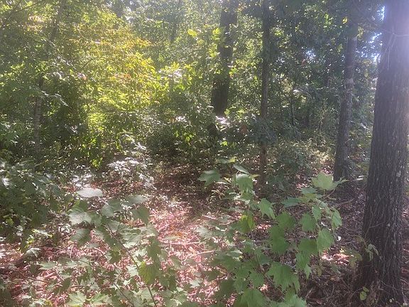 5th image of Copinsay Ln #19