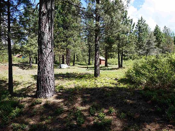 5th image of 435 Shasta Pines Dr
