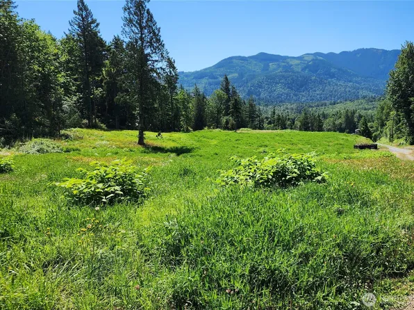 0 Reese Hill Road, Sumas, WA 98295