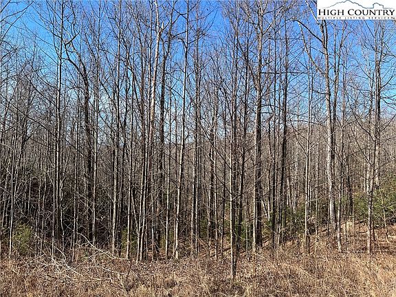 2nd image of Lot 521 Timber Rock Drive