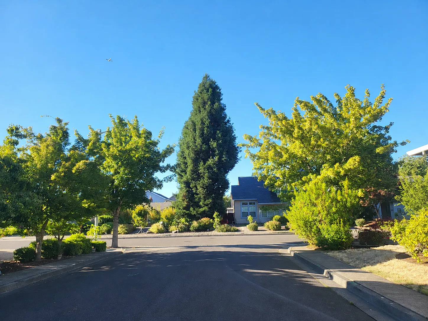 3 bed, 1700 sqft, $2,585 — Photo 3