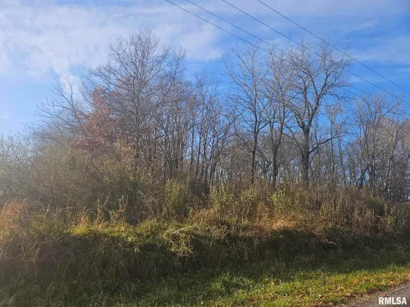 0 Eakin Grove Rd, Benton, IL 62812