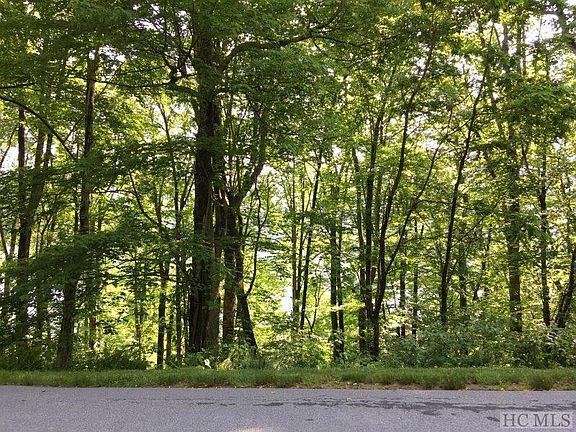 4th image of LOT 2 New Trillium Way