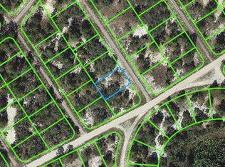 602 House Finch Dr, Lake Placid, FL 33852