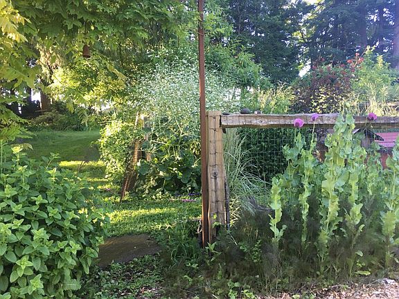 vegetable gardens