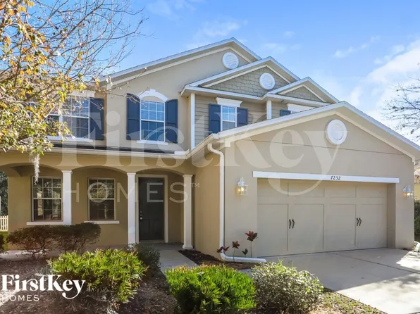 7232 Bridgeview Dr, Wesley Chapel, FL 33545