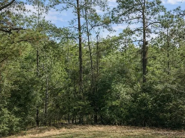 123 Palmer, Brookeland, TX 75931