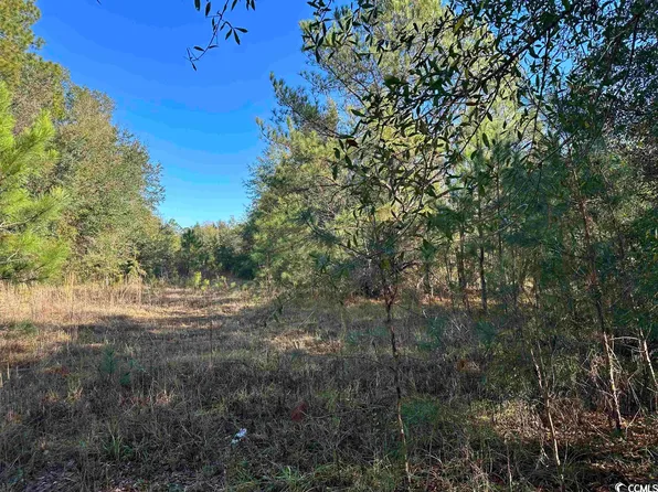 TBD Heller St. #TBD Scott ST., Kingstree, SC 29556