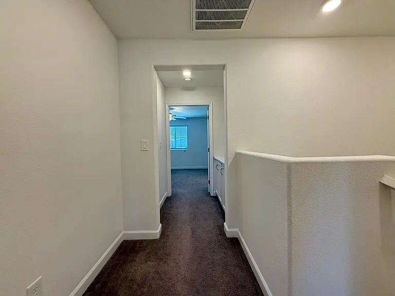 691 Pickled Pepper Pl — Photo 19