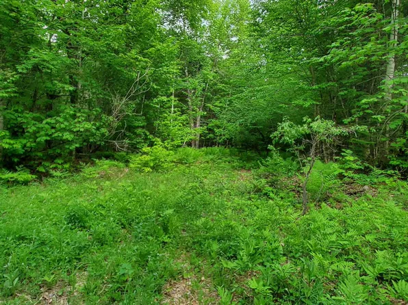 Lot 50 (Map 14), Andover, ME 04216