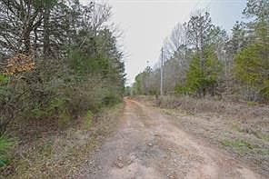 2nd image of 0 Long Cane Ame Rd