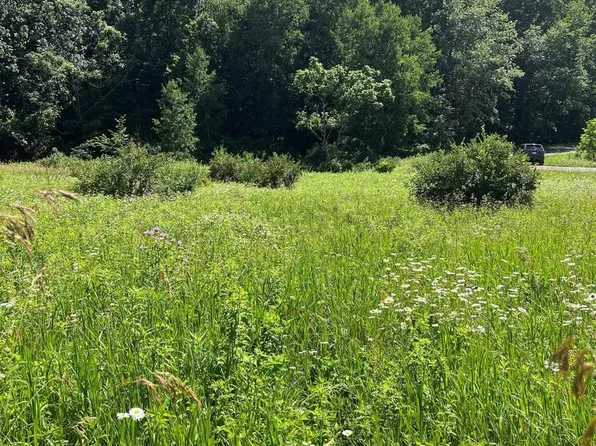 L1045 Leaning Tree Trail #L1045, La Valle, WI 53941