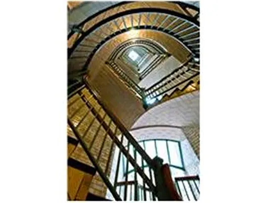 Rented by Douglas Elliman | media 20