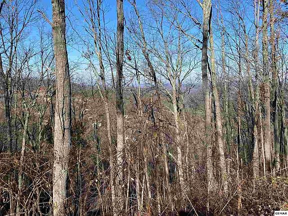 3rd image of 570 Village Loop Rd Lot 570