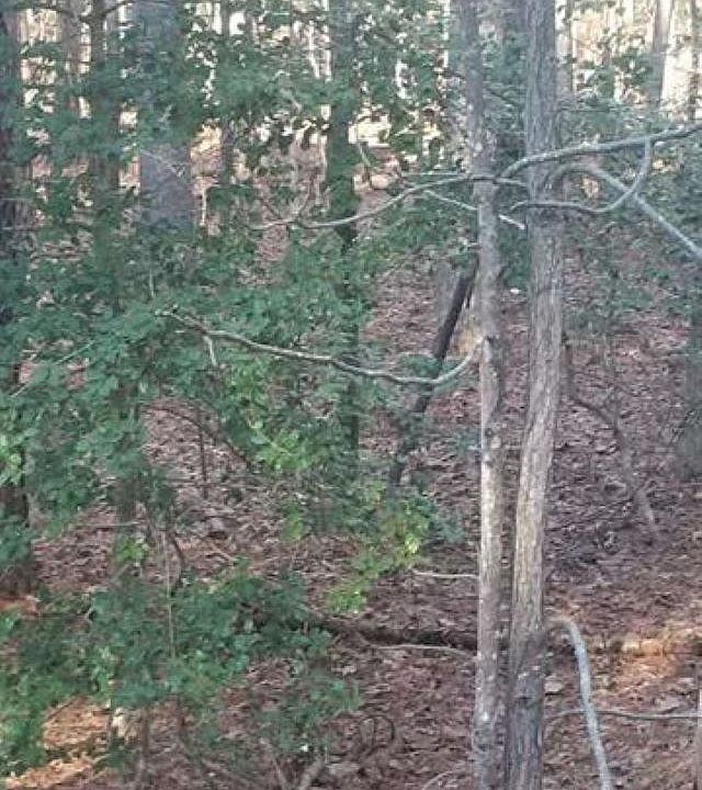 1st image of 212 Rawhide Dr