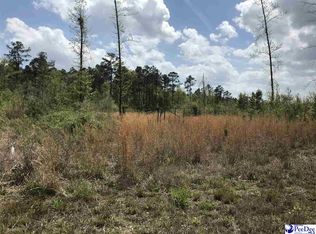2 Tbd Cubie Road Tract, Effingham, SC 29541