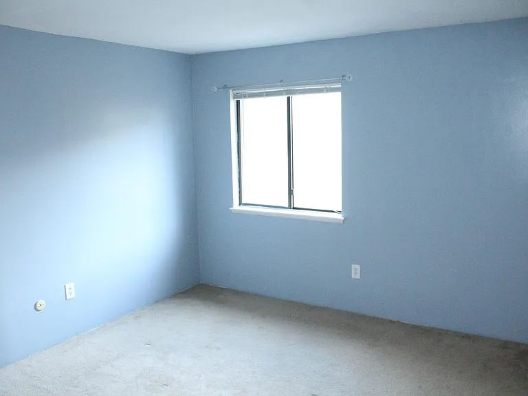 10 Village Brook Ln — Photo 25