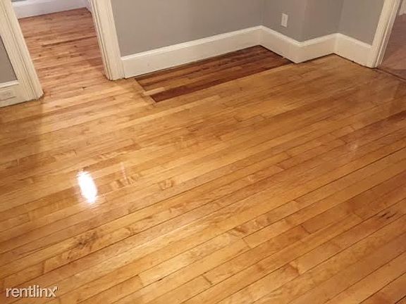 11 Boardman #3 Boston - East Boston Shared Unit Photo 8