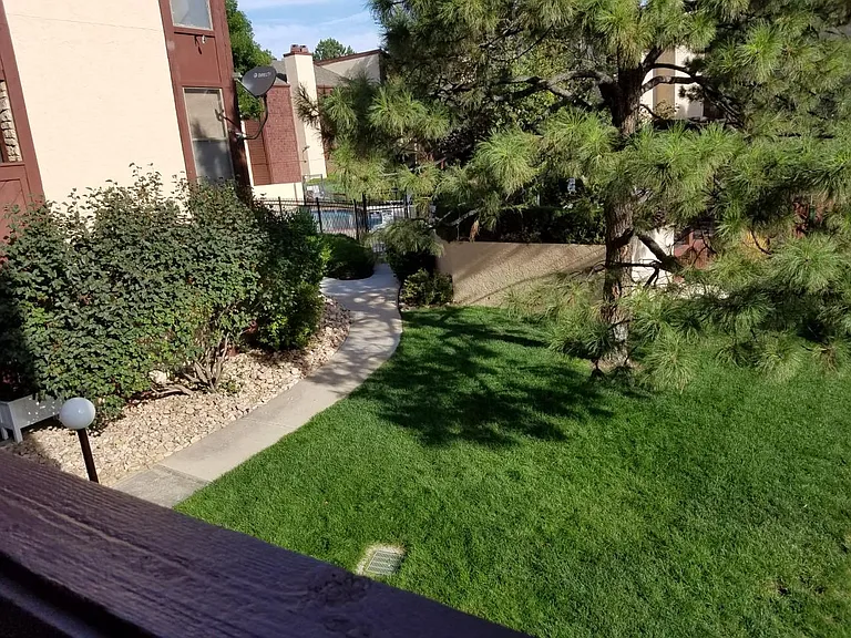 View of the pool from the patio