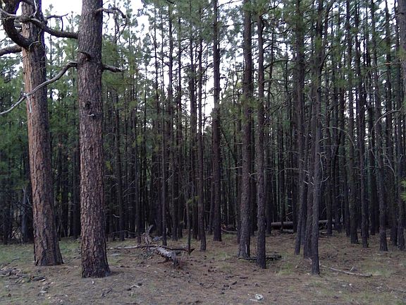 4th image of 490 Tranquility Trl Lot 82